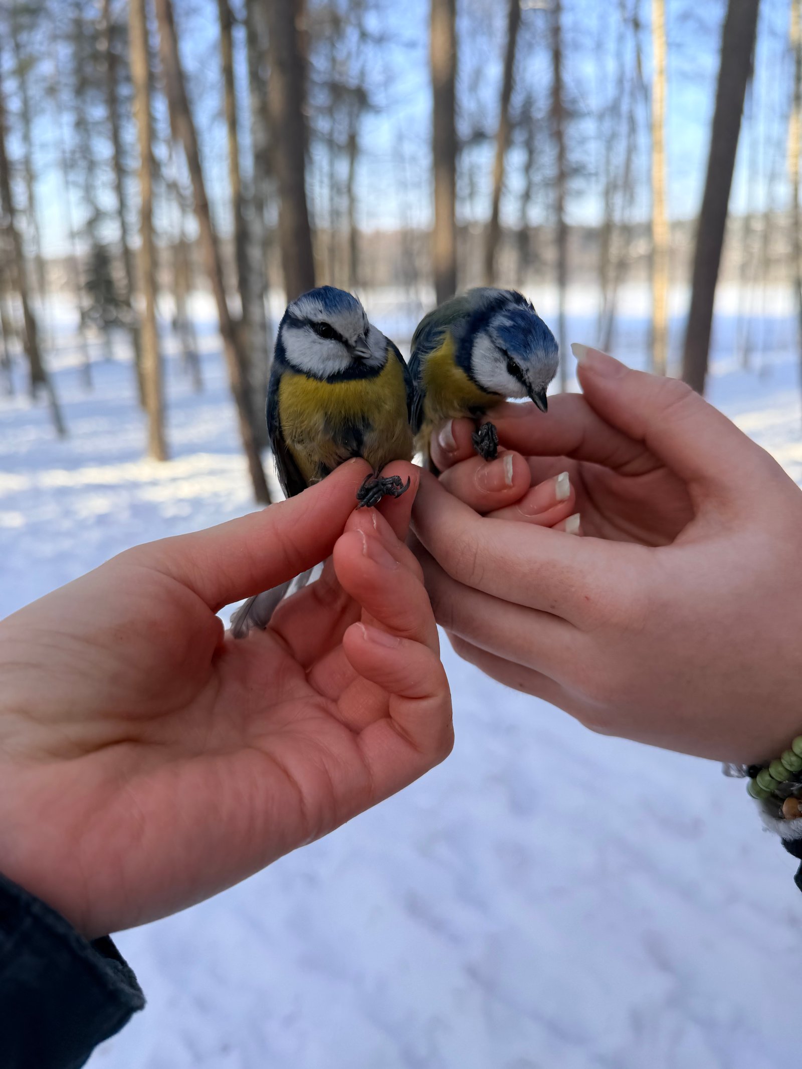 Savaitgaliai šeimoms