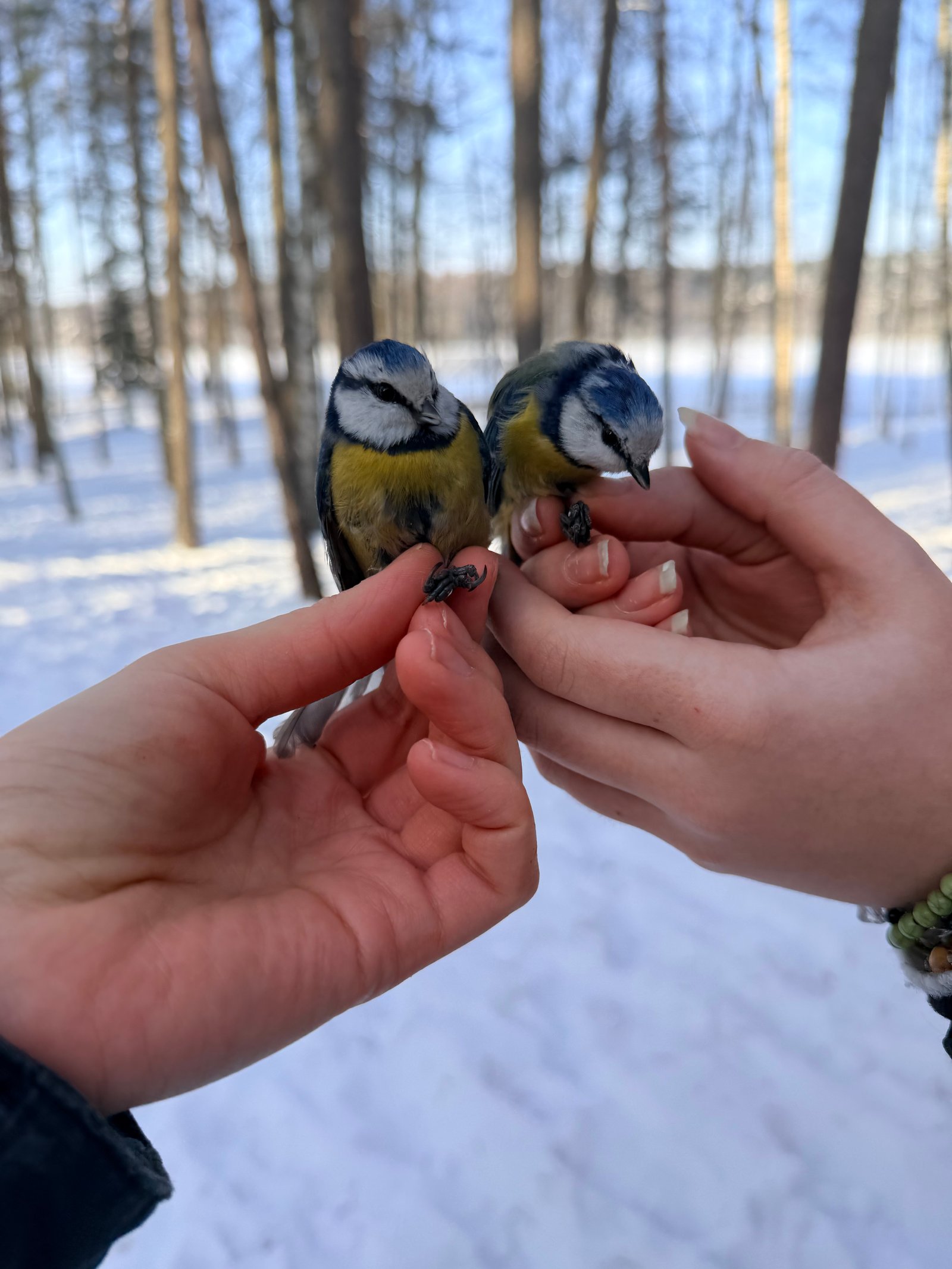 Kolektyvas, kuris veikia kaip komanda