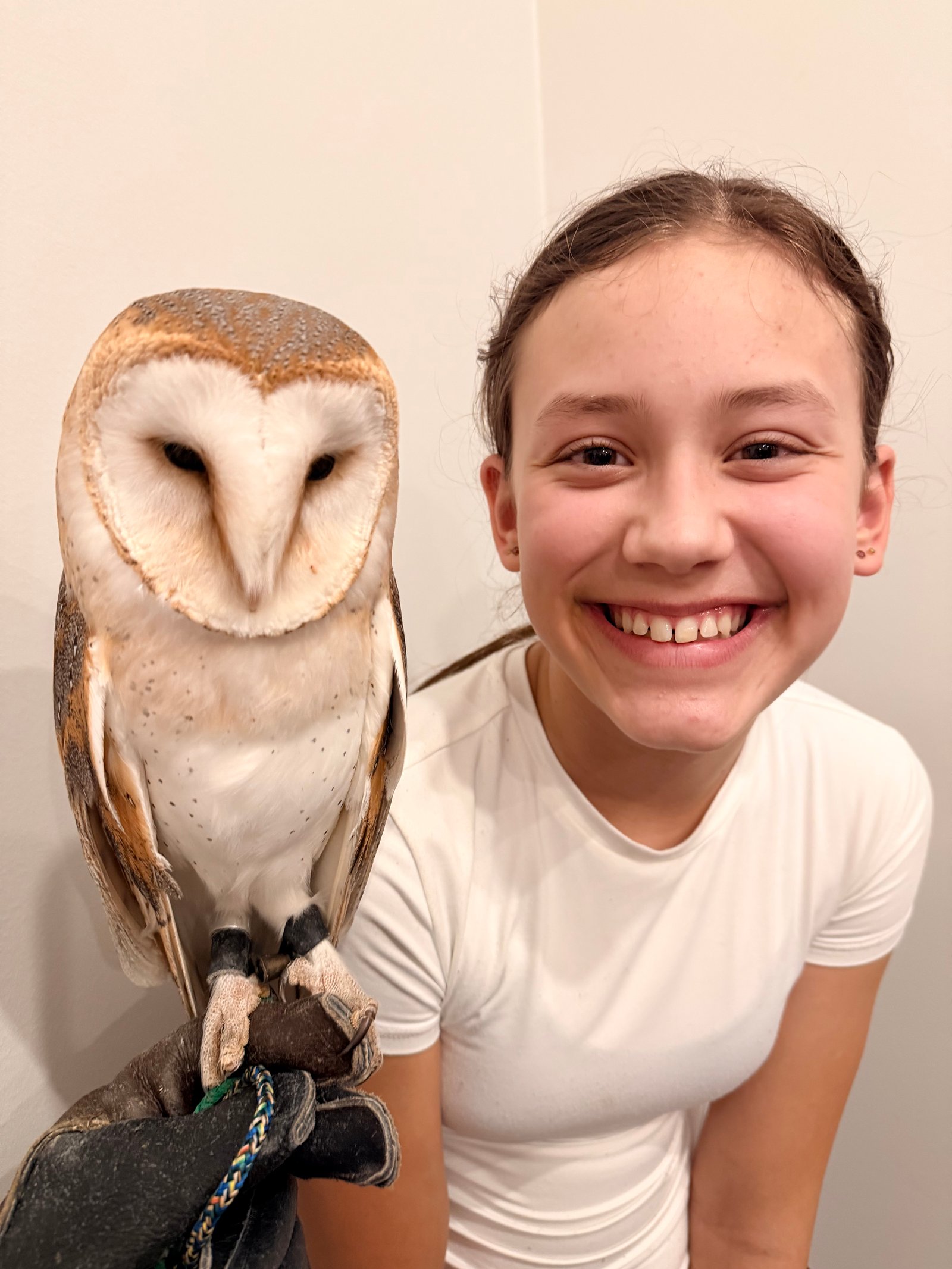 Viskas įskaičiuota